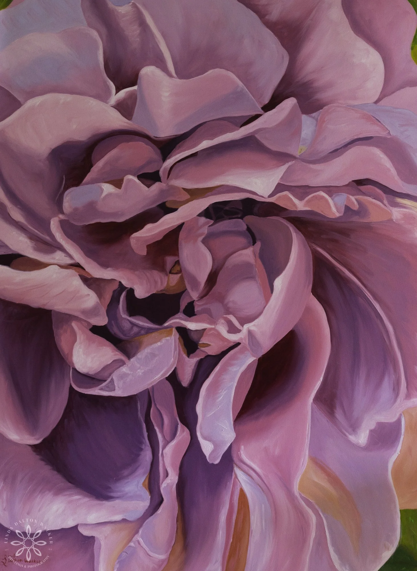 Large Pink Rose Macro, Oil Painting — Linda Dalton Walker
